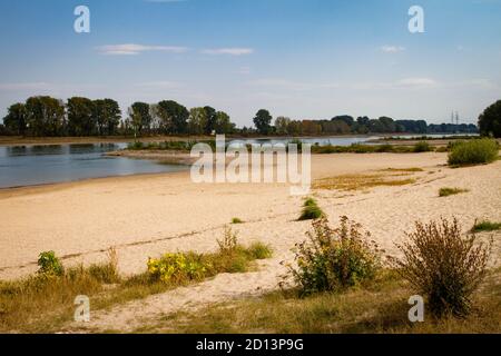 Sur les rives du Rhin à Langel, district de Merkenich, populaire les jours d'été, Cologne, Rhénanie-du-Nord-Westphalie, Allemagne. Am Rheinufer à Langel, S Banque D'Images