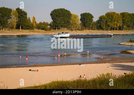 Sur les rives du Rhin à Langel, district de Merkenich, populaire les jours d'été, Cologne, Rhénanie-du-Nord-Westphalie, Allemagne. Am Rheinufer à Langel, S Banque D'Images