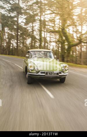 Citroën DS19, New Forest, Royaume-Uni, mars 2015 Banque D'Images