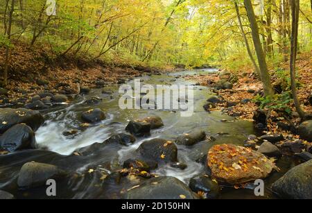 Les feuilles d'automne colorées dissimulent les rives rocheuses d'un écoulement rapide ruisseau Banque D'Images