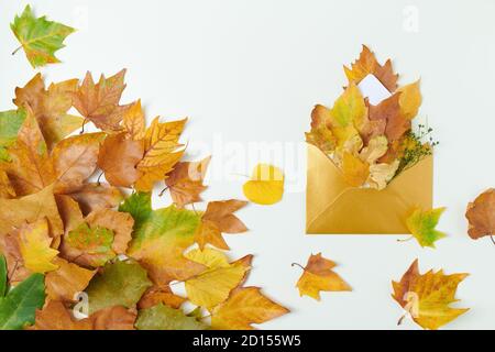 Bonjour septembre. Automne plat avec enveloppe et feuilles sur fond blanc. Banque D'Images