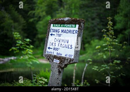 France, territoire de Belfort, Lepuix, massif du ballon d'Alsace, forêt de Rummel, bassin du petit Haut Banque D'Images