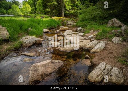 France, territoire de Belfort, Lepuix, massif du ballon d'Alsace, forêt de Rummel, torrents et cascades de la Savoreuse Banque D'Images