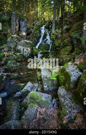 France, territoire de Belfort, Lepuix, massif du ballon d'Alsace, forêt de Rummel, torrents et cascades de la Savoreuse Banque D'Images