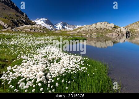 France, Hautes-Alpes, Parc National des Ecrins, refuge et lac du Goléon (2438 m) dans le massif des Oisans avec la Meije et le Râteau (3809 m) dans le bac Banque D'Images