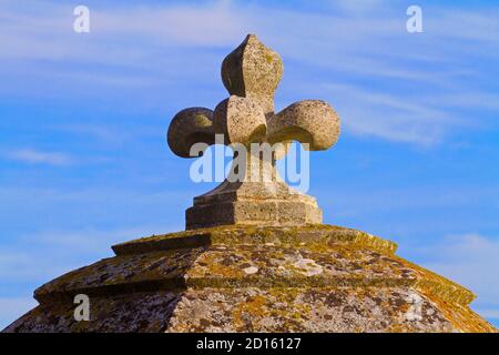 France, Charente-Maritime (17), Saintonge, Hiers-Brouage, citadelle de Brouage, labellisé les plus Beaux villages de France, queue d'une chauffeuse Banque D'Images