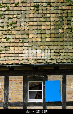 France, Haut Rhin, Ungersheim, Ecomusee d Alsace, ancienne ferme à colombages, toitures, tuiles de queue de castor ou de Bieberschwantz Banque D'Images