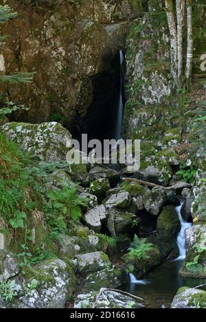 France, territoire de Belfort, Lepuix, forêt, chute d'eau du Saut de la Truite en été, sécheresse Banque D'Images