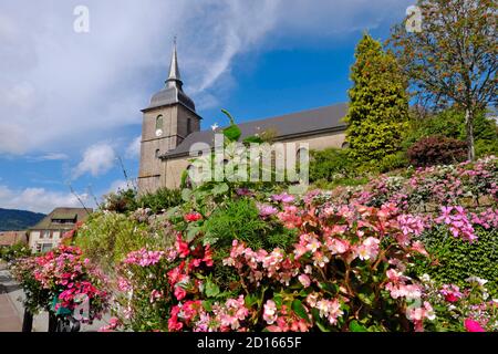 France, territoire de Belfort, Rougegoutte, rue des Ecoles, église, floraison Banque D'Images