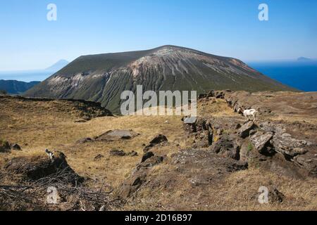 Italie, Sicile, îles éoliennes, Vulcano, chèvres grimpant les rochers dans les hauteurs de l'île face au cratère de Vulcano avec la mer et l'islan Banque D'Images
