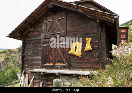 Randonnée sur le sentier de la vigne de Visperterminen à Visp, Valais, Suisse.Visperterminen est situé à 1,170 mètres.Le village est parsemé de vieilles maisons et de granges.Plusieurs d'entre eux sont maintenant de petits musées et montrent comment les habitants de Visperterminen, qui s'appellent Terbiner, vivaient il y a environ 150 ans. Banque D'Images