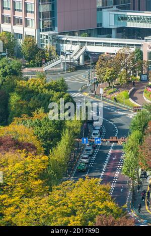 Des bas d'arbres de couleur d'automne entourent le Sotobori-dori à Ochanomizu Tokyo. Banque D'Images