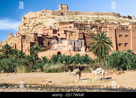 Vue panoramique du célèbre village : ait ben haddou en train d'y faire des chameaux, des palmiers et de la rivière sèche, au Maroc Banque D'Images