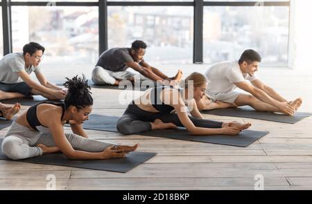 Divers hommes et femmes sportifs effectuant des exercices d'étirement pendant le groupe cours de yoga Banque D'Images