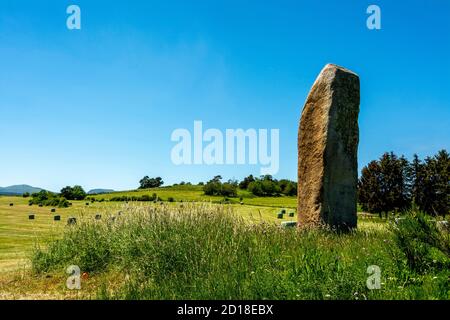 Le menhir de Fohet dit le Pierre longue près d'Aydat, Puy de Dome, Auvergne Rhône Alpes, France Banque D'Images