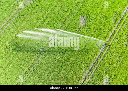 Irrigation des terres agricoles pendant l'été sec, celle, Allemagne Banque D'Images