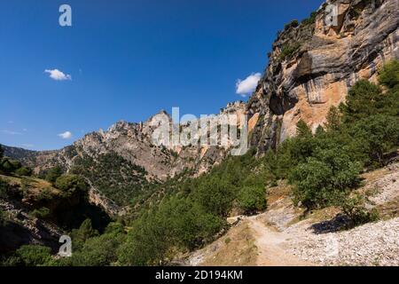 Ruta del rio Borosa, Parque Natural sierras de Cazorla, Segura y Las Villas, Jaén, Andalousie, Espagne Banque D'Images