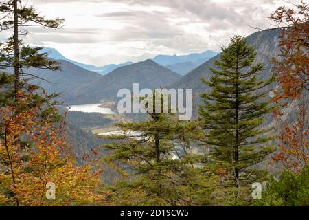 Vue de Richtstrichkopf vers le lac Loedensee, Mittersee et Weitsee, près de Ruhpolding, Bavière, Allemagne Banque D'Images