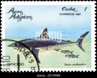 Saint-Pétersbourg, Russie - 18 septembre 2020 : timbre imprimé à Cuba l'image du requin Mako à nageoires courtes, Isurus oxyrinchus, vers 1981 Banque D'Images