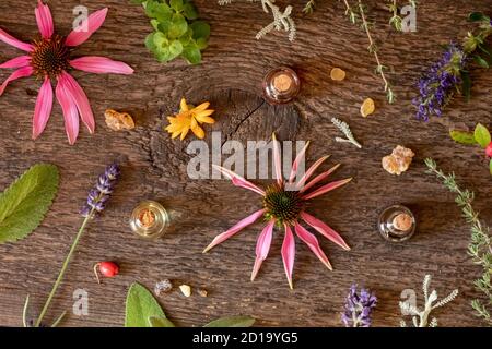 Bouteilles d'huile essentielle avec encens, lavande, hyssop, échinacée et autres herbes Banque D'Images