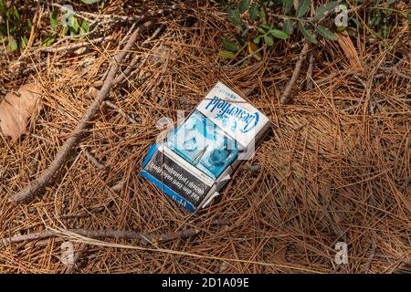 Rogoznica/ Croatie-14 août 2020 : boîte à cigarettes jetée sur le fond de la forêt, acte irresponsable de pollution de la nature Banque D'Images