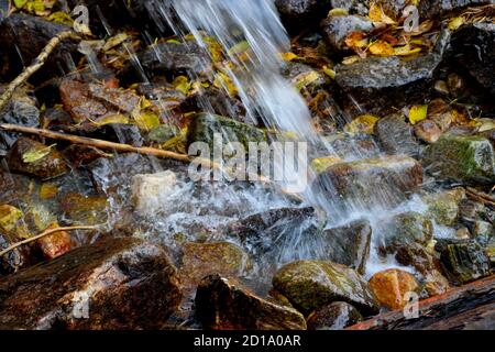 Eau tombant d'un tuyau sur des pierres et des feuilles d'automne Banque D'Images