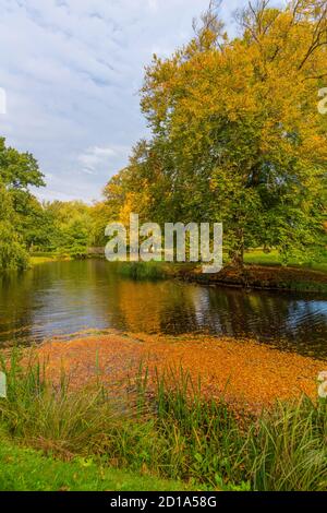 Parc paysager du XIXe siècle du Palais Ludwigslust, maître jardinier J.P. Lenné, Ludwigslust, Mecklembourg-Poméranie occidentale, Allemagne de l'est, Europe Banque D'Images