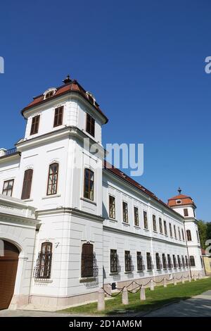 Château d'Esterházy, Esterházy-kastély, Tata, Comté de Komárom-Esztergom, Hongrie, Magyarország, Europe Banque D'Images