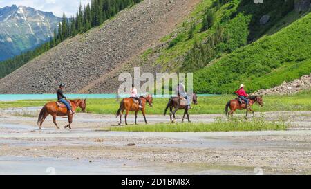 Balade à cheval guidée en montagne - la vue sur 4 chevaux avec des cavaliers traversant le chemin vers les collines. Le lac Louise en arrière-plan. Parc national Banff, Alberta. Banque D'Images