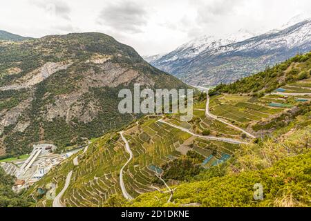 Le plus haut vignoble de Visperterminen d'Europe Visp, Suisse Banque D'Images