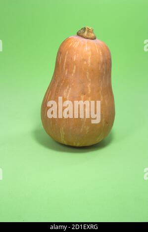 Image d'une squash d'arachide isolée sur fond vert dans le studio. Citrouille de noyer cendré Banque D'Images
