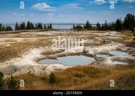 La piscine de Mimulus, une caractéristique thermale dans le bassin West Thumb Geyser du parc national de Yellowstone. Yellowstone Lake en arrière-plan Banque D'Images