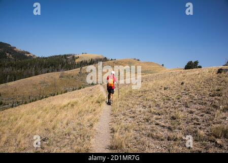 Randonnée sur Sepulcher Mountain, parc national de Yellowstone, Wyoming, États-Unis Banque D'Images