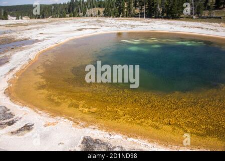 Source chromatique, Upper Geyser Basin, parc national de Yellowstone, Wyoming, États-Unis Banque D'Images