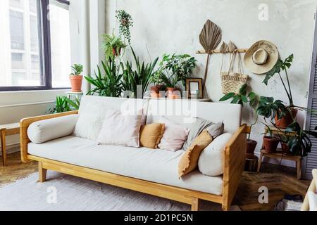 Canapé clair avec oreillers contre un mur gris. Il y a beaucoup de pots de plantes vertes derrière le canapé. Banque D'Images