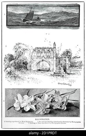 Un tableau de la fin du XIXe siècle illustrant les différents types d'illustrations... gravure en bois, stylo et encre reproduits par un procédé photographique et dessin en teinte... Banque D'Images