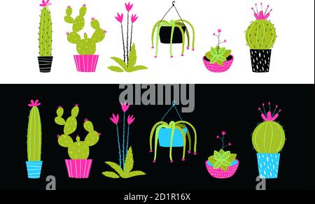 Cactus cactus et fleurs succulentes collection intérieure. Illustration de Vecteur