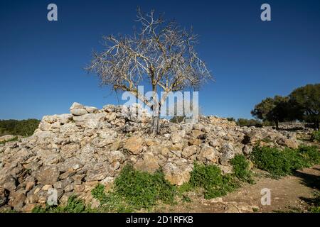 conjunto prehistórico de Capocorb Vell, principios del primer milenio a. C. (Edad de Hierro), Monumento Histórico Artístico, Llucmajor, Mallorca, Bal Banque D'Images