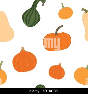 ensemble de citrouilles d'automne à motif sans couture isolé sur une illustration vectorielle blanche EPS10 Illustration de Vecteur