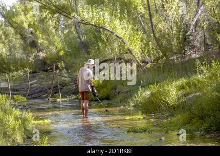 Le prospecteur utilise un détecteur de métal pour le Trésor d'or perdu de la catastrophe du barrage de Walnut Grove dans la rivière Hassayampa à l'extérieur de Kirkland, Arizona, États-Unis Banque D'Images