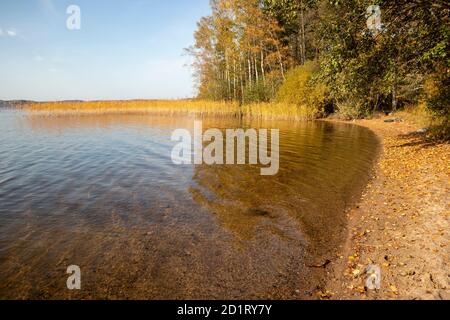 Plage vide en automne, Lappeenranta Finlande Banque D'Images