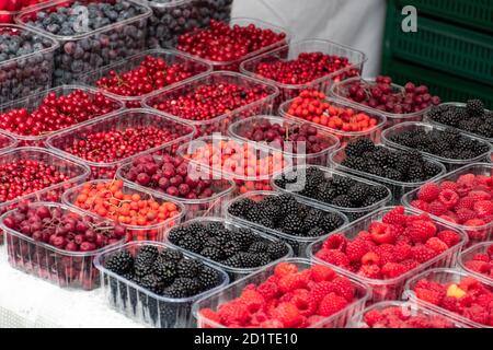 Baies saines, rouges et noires fraîches, canneberges, mûres, framboises, mûres dans un petit panier dans un marché de nourriture de rue prêt pour sellin Banque D'Images