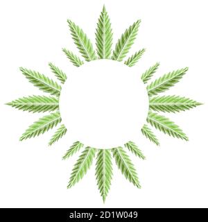 Cadre rond avec feuilles vertes de marijuana à l'éclosion. L'objet est séparé de l'arrière-plan. Modèle de gravure vectorielle pour menus, articles, c Illustration de Vecteur