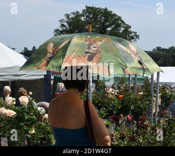 Parapluie pour un jour pluvieux Parasole pour un jour ensoleillé Banque D'Images