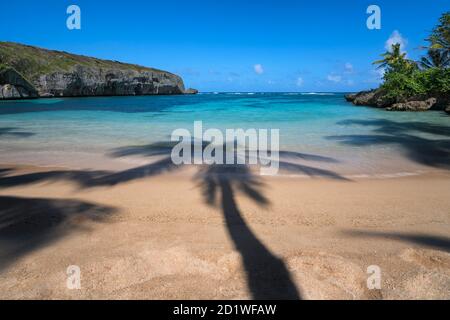 Playa Madama, Samana, République dominicaine Banque D'Images