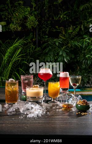 Cocktails alcoolisés multicolores avec agrumes dans des verres de différentes formes au bar. Banque D'Images