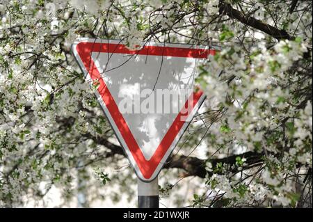 Prenez la route. Panneau de signalisation routière dans la rue. Vieux triangle de signalisation sur le fond des fleurs de printemps. Image en lumière naturelle. Mise au point sélective. Banque D'Images