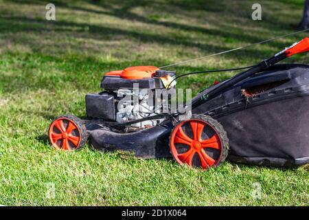 Tondeuse sur gazon vert dans le jardin. Machine pour couper les pelouses. Banque D'Images