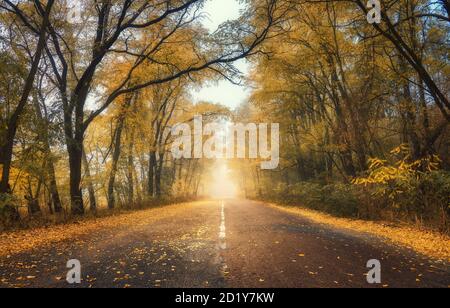 Forêt d'automne dans le brouillard avec route de campagne au coucher du soleil Banque D'Images