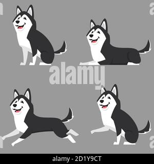 husky sibérien dans différentes poses. Magnifique chien de style dessin animé. Illustration de Vecteur